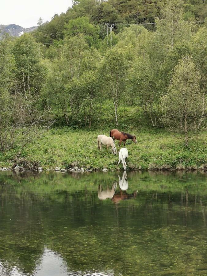 Steinklepp Camping Övre Övre Kvamme Dış mekan fotoğraf